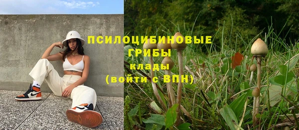 альфа пвп Бородино