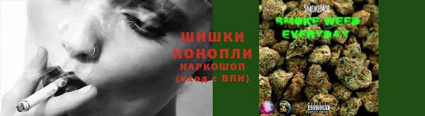 ECSTASY Бронницы