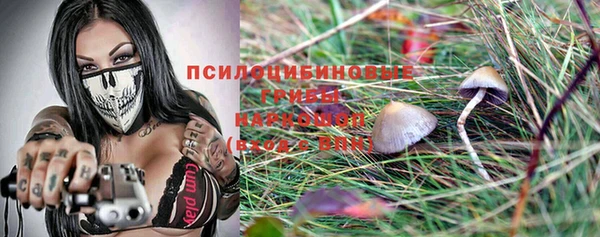 ECSTASY Бронницы