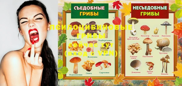 MDMA Верхний Тагил