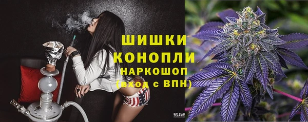 spice Верея