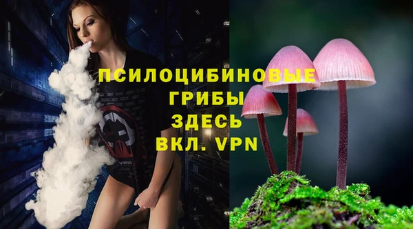 альфа пвп Бородино