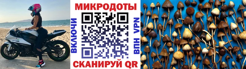 Псилоцибиновые грибы мицелий Губаха