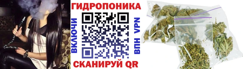 Шишки марихуана VHQ  MEGA зеркало  Губаха 